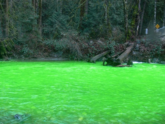 Το ποτάμι έγινε πράσινο και …φωσφορίζει! - Φωτογραφία 7
