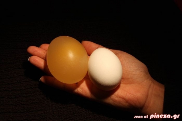 ΔΕΙΤΕ: Τι θα γίνει αν αφήσουμε ένα αυγό μέσα σε.. ξύδι για επτά ημέρες ? - Φωτογραφία 11