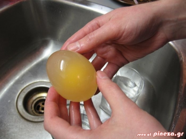 ΔΕΙΤΕ: Τι θα γίνει αν αφήσουμε ένα αυγό μέσα σε.. ξύδι για επτά ημέρες ? - Φωτογραφία 5