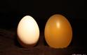 ΔΕΙΤΕ: Τι θα γίνει αν αφήσουμε ένα αυγό μέσα σε.. ξύδι για επτά ημέρες ? - Φωτογραφία 12