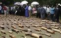 Νεκροταφείο ακρωτηριασμένων ελεφάντων στο Καμερούν