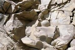 ΔΕΙΤΕ: Βρέθηκαν αυγά δεινοσαύρου στην Τσετσενία!