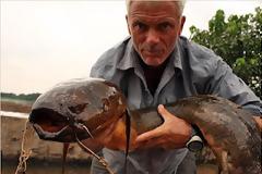 Ψάρια δολοφόνοι!