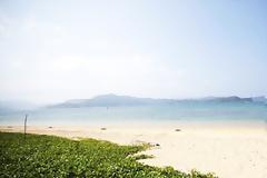 Ζει σαν ναυαγός σε τροπικό νησί!