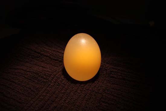 Ενδιαφέρον πείραμα: Αβγό μέσα σε ξύδι - Φωτογραφία 6