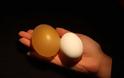 Ενδιαφέρον πείραμα: Αβγό μέσα σε ξύδι - Φωτογραφία 11