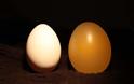 Ενδιαφέρον πείραμα: Αβγό μέσα σε ξύδι - Φωτογραφία 12