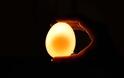 Ενδιαφέρον πείραμα: Αβγό μέσα σε ξύδι - Φωτογραφία 8