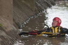 Η ασυνήθιστη διάσωση ενός σκύλου