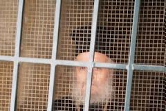 Η Ανάσταση ενός φυλακισμένου Πατριάρχη