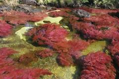 Το ποτάμι που ξεκινάει απ’ τον παράδεισο!