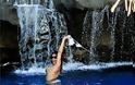 Η Rihanna ποζάρει topless στη Χαβάη! - Φωτογραφία 1