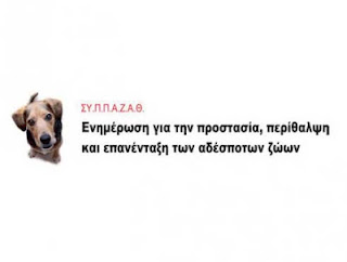 Κακή η διαχείριση των αδέσποτων από τον ΣΥ.Π.Π.Α.Ζ.Α.Θ. - Φωτογραφία 2