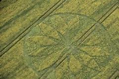 Μυστηριώδεις σχηματισμός σε καλλιέργεια στην Αγγλία