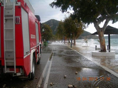 ΣΟΚ: Δελφίνια… εκσφενδονίστηκαν μέσα στο δρόμο από τους ανέμους και το κύμα στην Δωρίδα! - Φωτογραφία 2