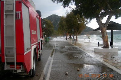 Τσουνάμι στη Φωκίδα - Δελφίνια ξεβράστηκαν στη στεριά! ΦΩΤΟ - Φωτογραφία 3