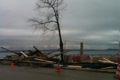 Τσουνάμι έπληξε την παραλιακή Φωκίδα-Ξεβράστηκαν ακόμη και δελφίνια