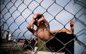 Ανοίγει σε λίγα 24ωρα το στρατόπεδο συγκέντρωσης λαθρομεταναστών στην Αμυγδαλέζα