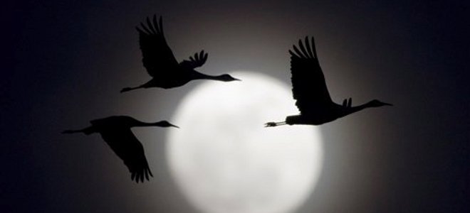 Τι κρύβει η «σούπερ Σελήνη» που θα φωτίσει τον ουρανό το βράδυ των εκλογών; - Φωτογραφία 1