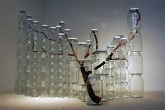 Δέντρα που... μεγαλώνουν μέσα σε βάζα.