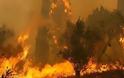 2 φωτιές στο Γουλέμι-Έκαψαν πευκοδάσος και πουρνάρια