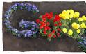 H Google γιορτάζει την ‘Παγκόσμια Ημέρα της Γης’