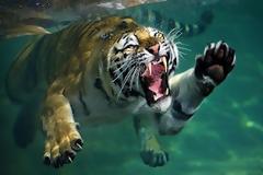 Οι φωτογραφίες του μήνα με ζώα! Απλά καταπληκτικές [32 pics]