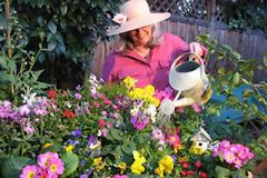 Τι να φυτέψετε την Άνοιξη!