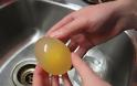 Το πείραμα του γυμνού αυγού-Αυγό vs Ξύδι - Φωτογραφία 4