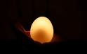 Το πείραμα του γυμνού αυγού-Αυγό vs Ξύδι - Φωτογραφία 5