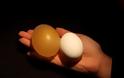 Το πείραμα του γυμνού αυγού-Αυγό vs Ξύδι - Φωτογραφία 7