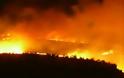 Νέες καταθέσεις στη δίκη για τις πυρκαγιές στην Ηλεία