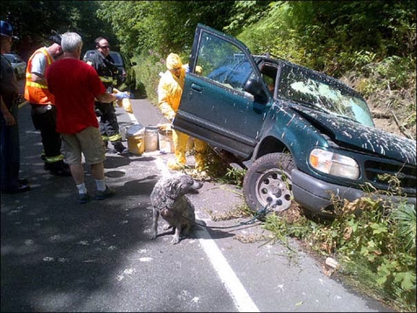 Ένα απίστευτο τροχαίο ατύχημα με αναπάντεχες συνέπειες - Φωτογραφία 2