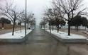 Δείτε VIDEO & ΦΩΤΟ από το χιονισμένο κέντρο της Θεσσαλονίκης! - Φωτογραφία 7