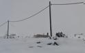 50 πόντους έφτασε το χιόνι στη βάση του Χιονοδρομικού Κέντρου στην Αρκαδία! - Φωτογραφία 4