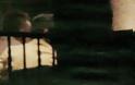 Καρέ-καρέ ο αρραβώνας του γιου του Γιώργου Παπανδρέου - Το γλέντι με τα κλαρίνα στη βίλα-κρησφύγετο - Φωτογραφία 1