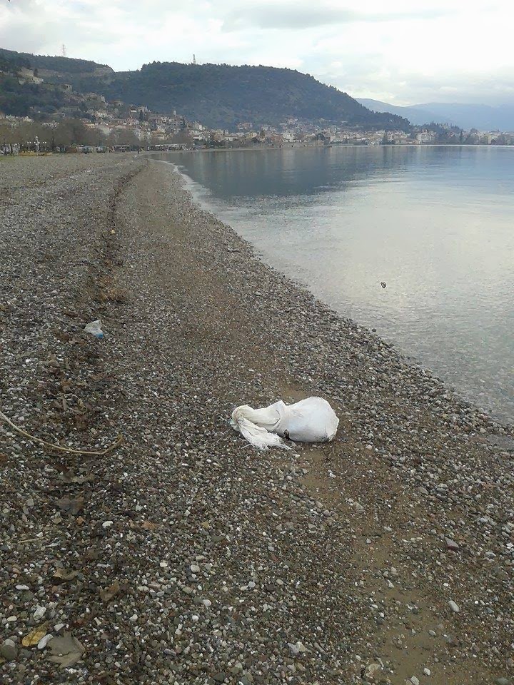 ΣΟΚ: Φρίκη στη Ναύπακτο - Φωτογραφία 4