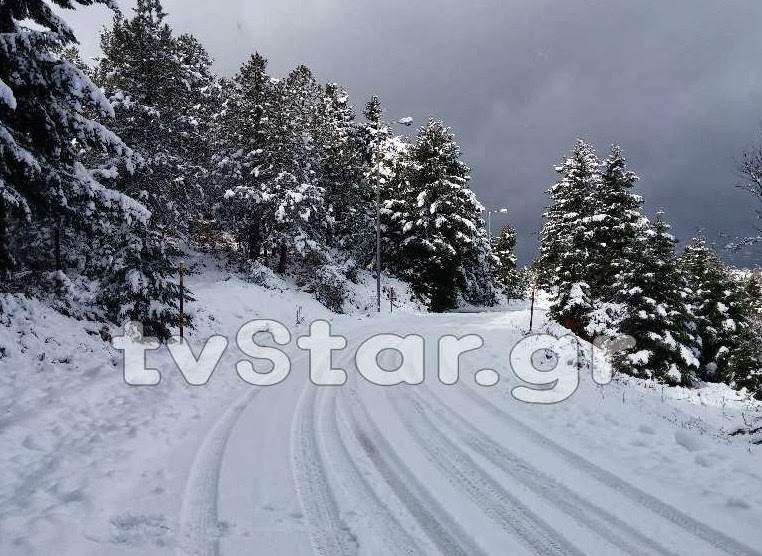 Πέρασε από Φθιώτιδα και Ευρυτανία ο χιονιάς - Φωτογραφία 4