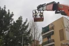 Επιχείρηση κλαδέματος στα δένδρα της Χαλκίδας