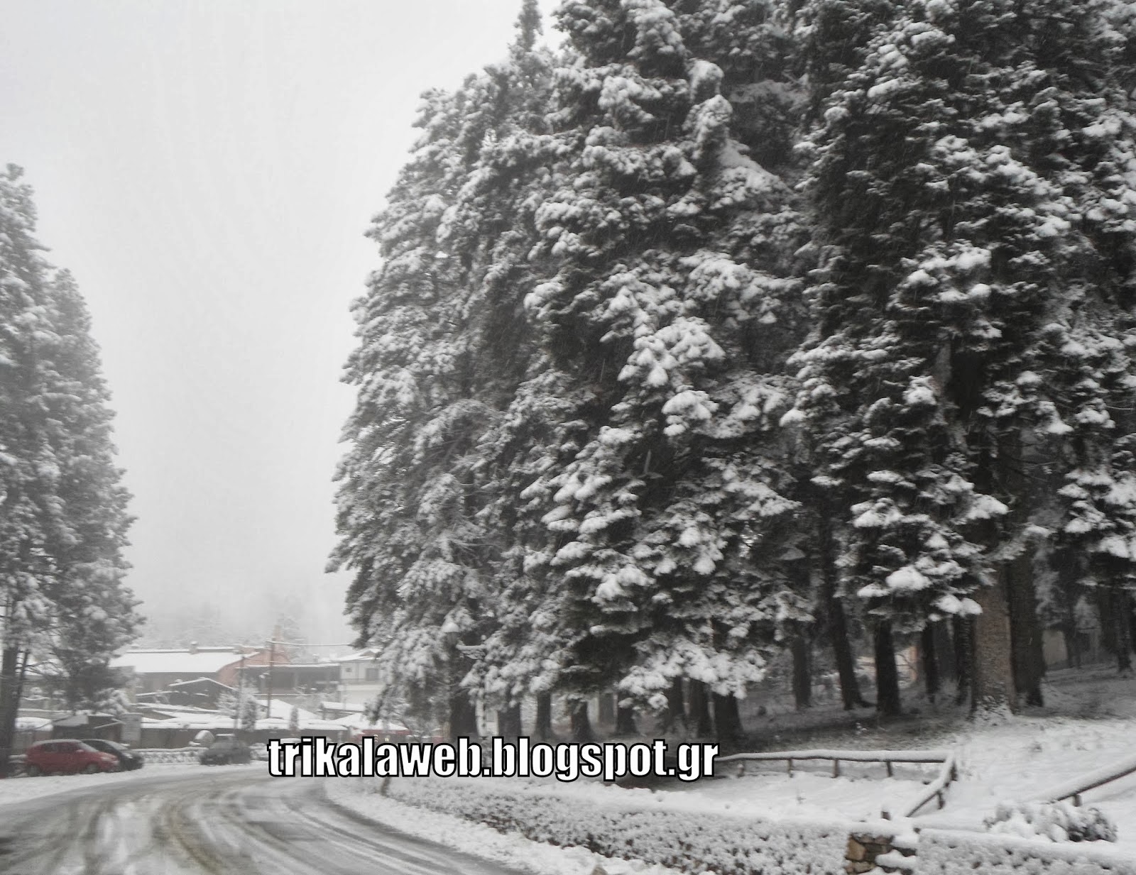 Η Ελάτη Τρικάλων χιονισμένη! - Φωτογραφία 1