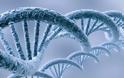 Γενετική «επανάσταση» μέσω «αντιγραφής και επικόλλησης» του DNA