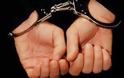 Συλλήψεις λαθρομεταναστών στο Δάλι