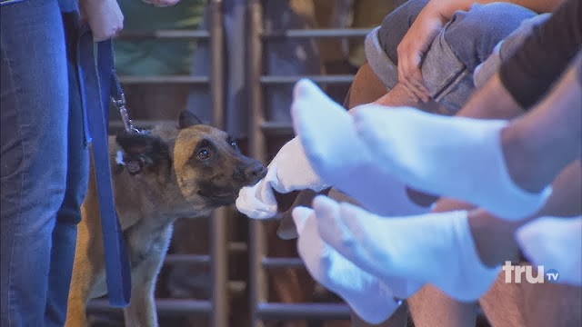 Ρεκόρ Γκίνες στο «ξεκάλτσωμα» ο σκύλος [video] - Φωτογραφία 1