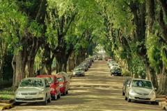 Ο ωραιότερος δρόμος του κόσμου [photos]