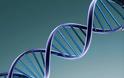 Γενετική «επανάσταση» μέσω «copy – paste» του DNA