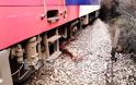 Δείτε φωτογραφίες από τη σύγκρουση τρένου με αγελάδα στην Φθιώτιδα - Φωτογραφία 12