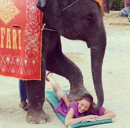 Ποια Ελληνίδα παρουσιάστρια πατάει ελέφαντας; - Φωτογραφία 2