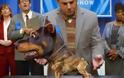 Ντοπαράουα: H νέα ράτσα σκύλου που προκαλεί τρόμο