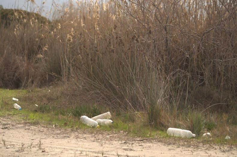 Εθελοντικός καθαρισμός στον υγρότοπο Μουστού για την ''Παγκόσμια Ημέρα Υγροτόπων'' - Φωτογραφία 2