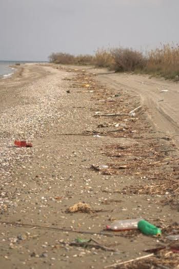 Εθελοντικός καθαρισμός στον υγρότοπο Μουστού για την ''Παγκόσμια Ημέρα Υγροτόπων'' - Φωτογραφία 6